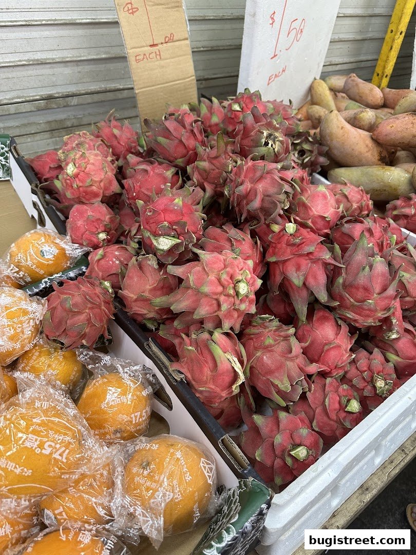 Fresh Dragon Fruits & Oranges at Lian Hua Chun Fruits