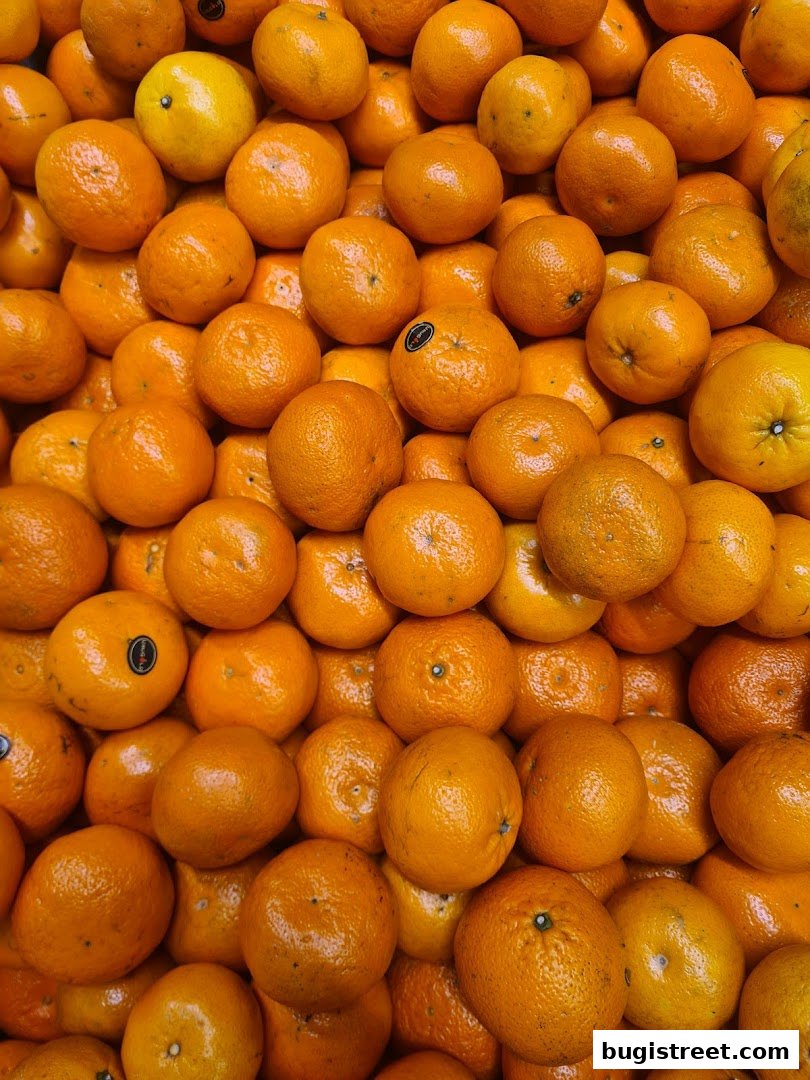 Fresh Oranges at Lian Hua Chun Fruits