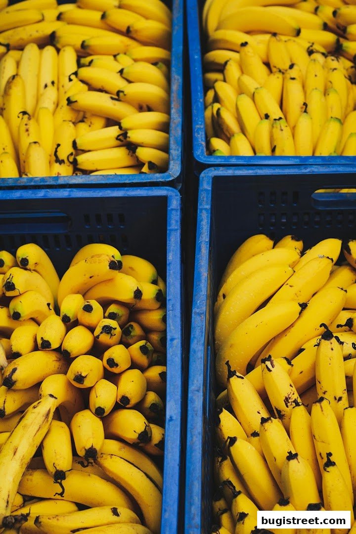 Fresh Bananas at Lian Hua Chun Fruits