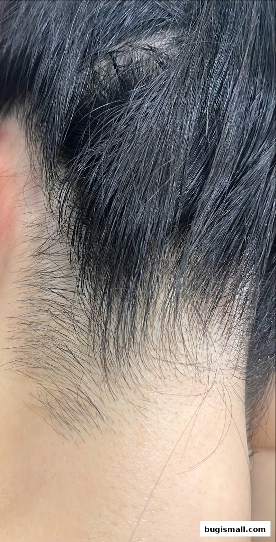 Discover Your Best Hair at Musee Platinum Tokyo