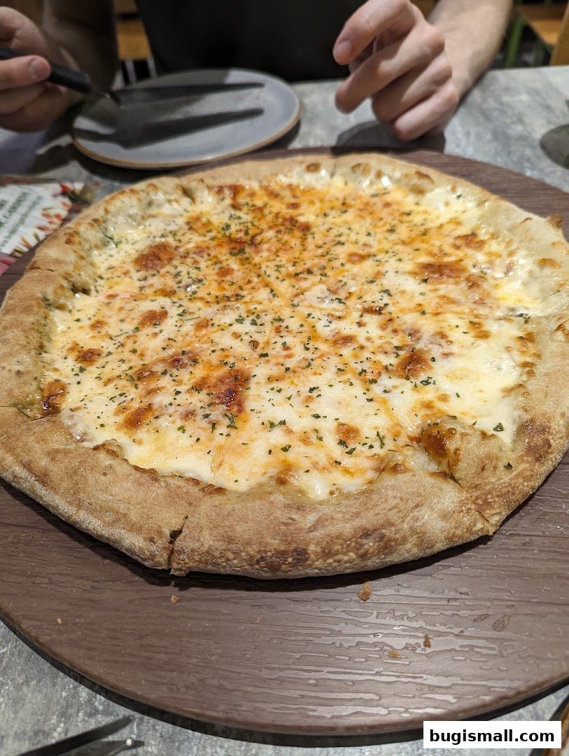 Indulge in Our Mouthwatering Cheese Pizza!