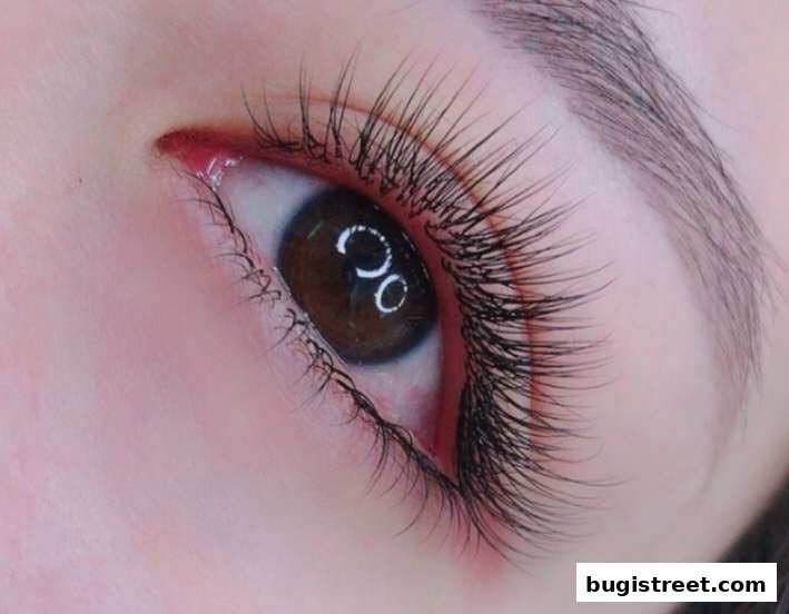 Enhance Your Gaze: Stunning Eyelash Extensions