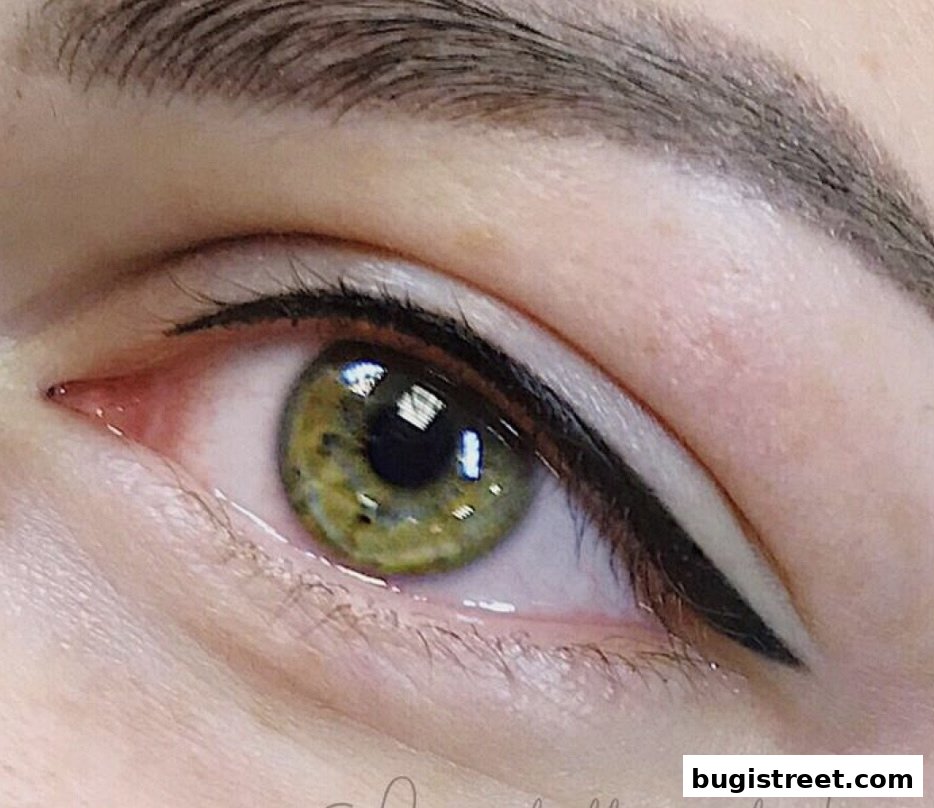 Flawless Eyeliner & Brow Perfection at Sakura Nails