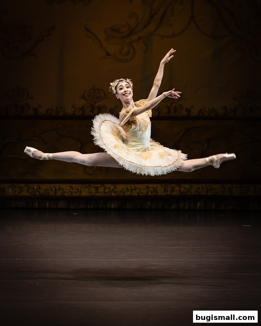 Experience the Grace of Singapore Ballet