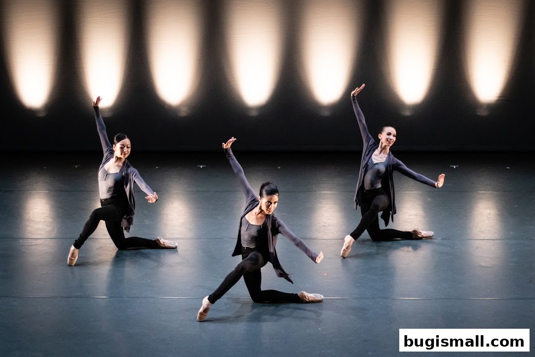 Experience the Grace of Singapore Ballet