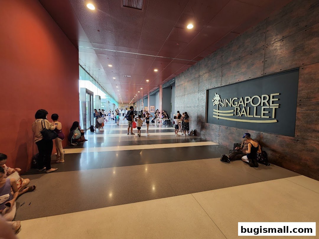 Experience the Artistry of Singapore Ballet