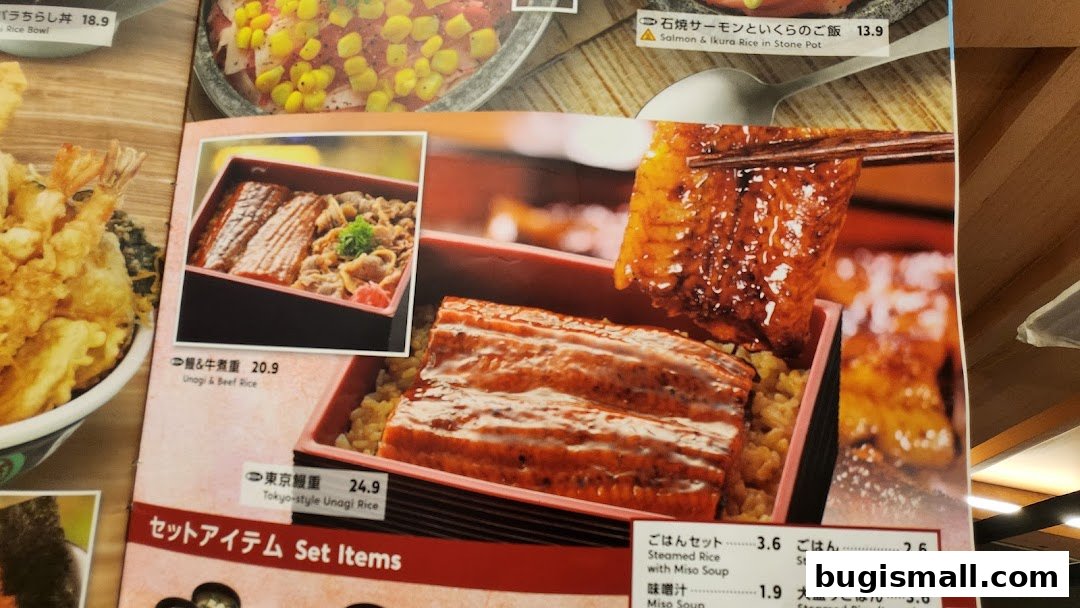 Savor Authentic Japanese Unagi & Beef Rice!