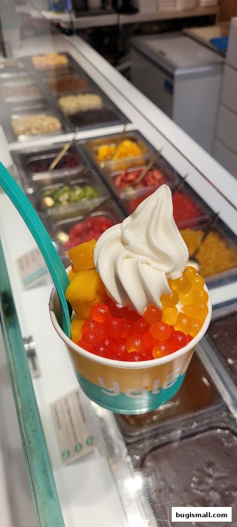 Yolé: Delicious Frozen Yogurt Creations